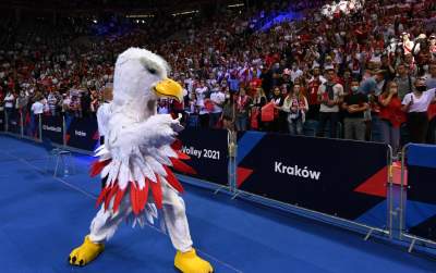 Orzeł czy kura? Maskotka polskich siatkarzy budzi emocje... - zdjęcie 4