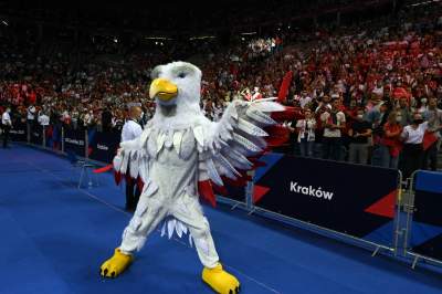 Orzeł czy kura? Maskotka polskich siatkarzy budzi emocje... - zdjęcie 7