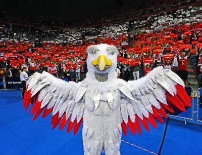 Orzeł czy kura? Maskotka polskich siatkarzy budzi emocje... - zdjęcie 5