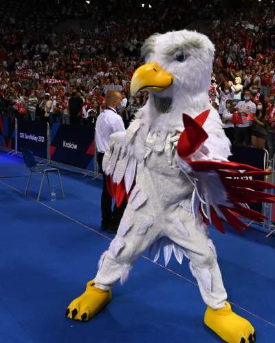 Orzeł czy kura? Maskotka polskich siatkarzy budzi emocje... - zdjęcie 8