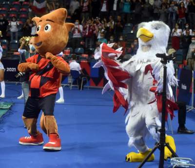 Orzeł czy kura? Maskotka polskich siatkarzy budzi emocje... - zdjęcie 10