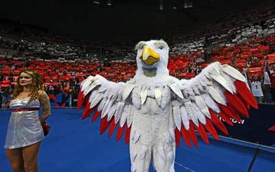 Orzeł czy kura? Maskotka polskich siatkarzy budzi emocje... - zdjęcie 2