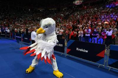 Orzeł czy kura? Maskotka polskich siatkarzy budzi emocje... - zdjęcie 9