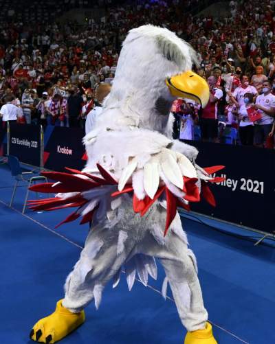Orzeł czy kura? Maskotka polskich siatkarzy budzi emocje... - zdjęcie 3
