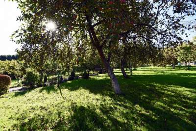 Stryszawa: miejsce ulubione przez kardynała Wyszyńskiego - zdjęcie 35