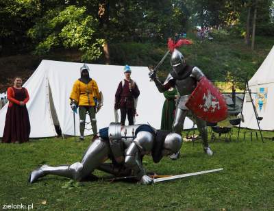 Juromania na zamku w Korzkwi i w Muzeum Hebla - zdjęcie 15