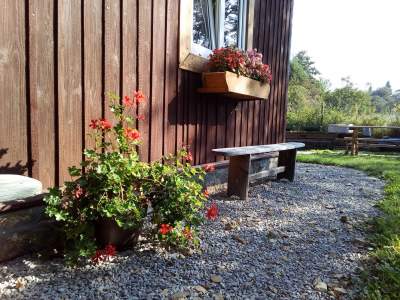 Juromania na zamku w Korzkwi i w Muzeum Hebla - zdjęcie 2