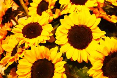 Fundacja Anny Dymnej "Mimo Wszystko". 18. rocznica powstania - zdjęcie 18