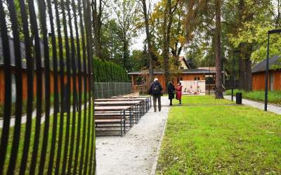 Można tu pograć w bule i miło spędzić czas... - zdjęcie 11