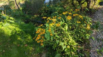 Scena muzyczna Galerii Barwy Ziemi - zdjęcie 19