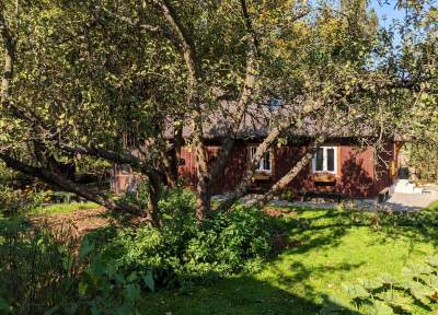 Scena muzyczna Galerii Barwy Ziemi - zdjęcie 7