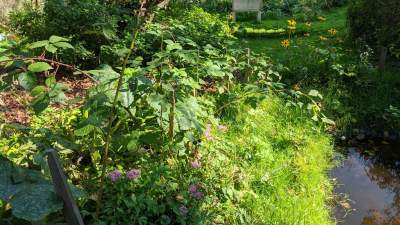 Scena muzyczna Galerii Barwy Ziemi - zdjęcie 11