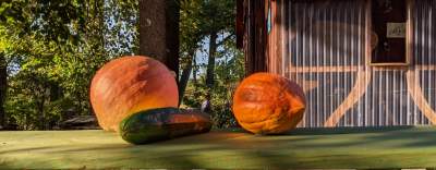 Scena muzyczna Galerii Barwy Ziemi - zdjęcie 17