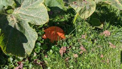 Scena muzyczna Galerii Barwy Ziemi - zdjęcie 8