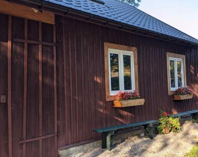 Scena muzyczna Galerii Barwy Ziemi - zdjęcie 18