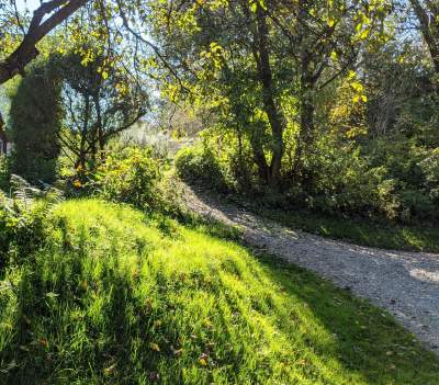 Scena muzyczna Galerii Barwy Ziemi - zdjęcie 15