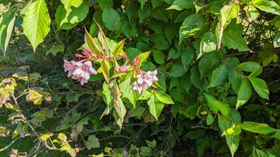 Scena muzyczna Galerii Barwy Ziemi - zdjęcie 6