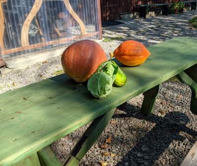 Scena muzyczna Galerii Barwy Ziemi - zdjęcie 12