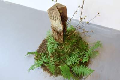 Wszystko jest sztuką, nawet... rozpad. Intrygująca wystawa - zdjęcie 6