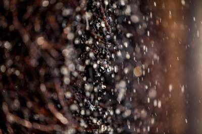 Tężnia Bagry już działa. Fot. Jan Graczyński - zdjęcie 4