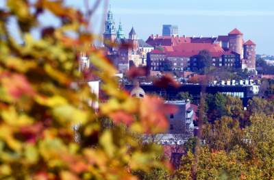 Na Zakrzówku piękna złota polska jesień... - zdjęcie 15