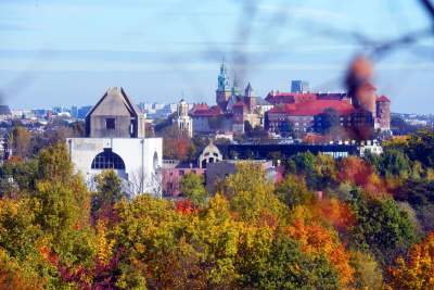 Na Zakrzówku piękna złota polska jesień... - zdjęcie 13