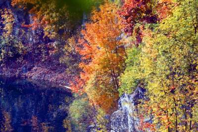 Na Zakrzówku piękna złota polska jesień... - zdjęcie 16