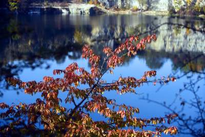 Na Zakrzówku piękna złota polska jesień... - zdjęcie 1