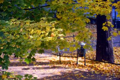 Planty w kolorach jesieni - zdjęcie 10