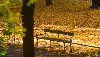 Planty w kolorach jesieni - zdjęcie 17