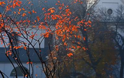Planty w kolorach jesieni - zdjęcie 14