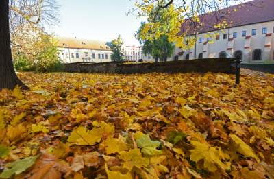 Planty w kolorach jesieni - zdjęcie 5