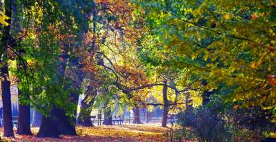 Planty w kolorach jesieni - zdjęcie 1