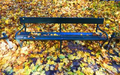 Planty w kolorach jesieni - zdjęcie 9