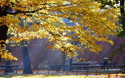 Planty w kolorach jesieni - zdjęcie 2