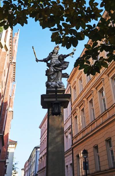 Planty w kolorach jesieni - zdjęcie 8