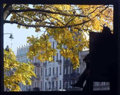Planty w kolorach jesieni - zdjęcie 6