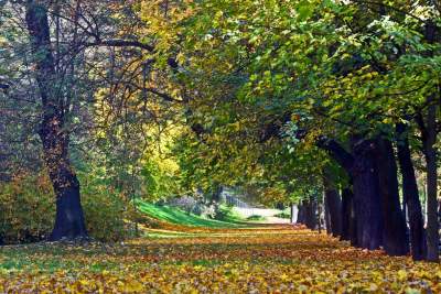 Planty w kolorach jesieni - zdjęcie 15