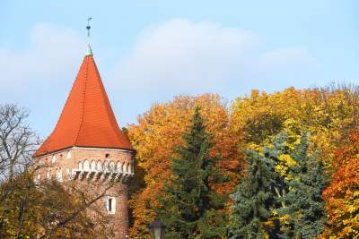 Planty w kolorach jesieni - zdjęcie 19