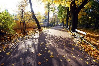 Planty w kolorach jesieni - zdjęcie 4