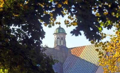 Planty w kolorach jesieni - zdjęcie 16