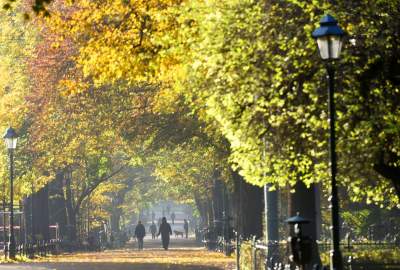 Planty w kolorach jesieni - zdjęcie 3