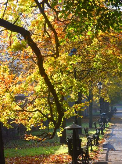 Planty w kolorach jesieni - zdjęcie 13