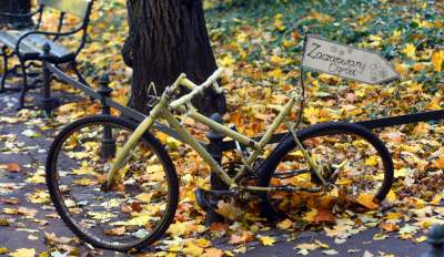 Planty w kolorach jesieni - zdjęcie 7