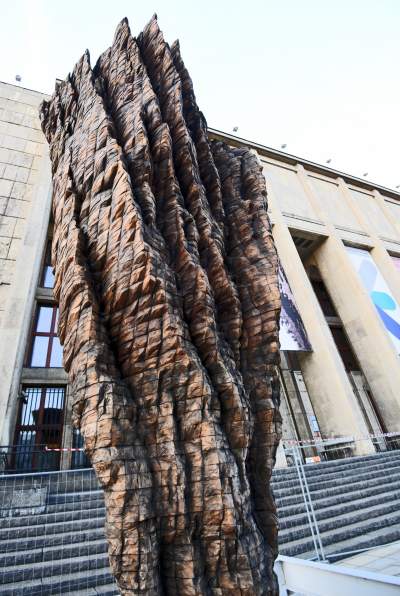 Monumentalne rzeźby przed Muzeum Narodowym. Z wyjątkowego drewna - zdjęcie 24