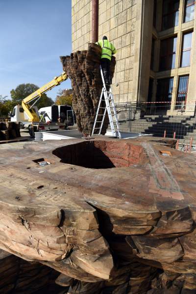 Monumentalne rzeźby przed Muzeum Narodowym. Z wyjątkowego drewna - zdjęcie 4