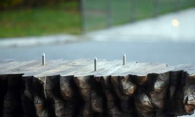 Monumentalne rzeźby przed Muzeum Narodowym. Z wyjątkowego drewna - zdjęcie 17