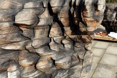 Monumentalne rzeźby przed Muzeum Narodowym. Z wyjątkowego drewna - zdjęcie 3