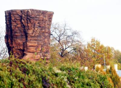 Monumentalne rzeźby przed Muzeum Narodowym. Z wyjątkowego drewna - zdjęcie 11