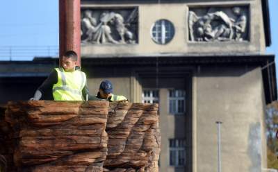 Monumentalne rzeźby przed Muzeum Narodowym. Z wyjątkowego drewna - zdjęcie 1